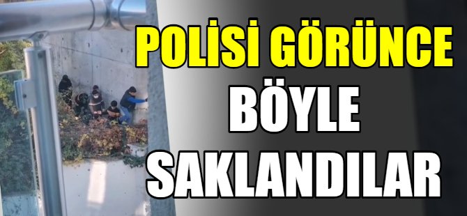 Polisi görünce böyle saklandılar