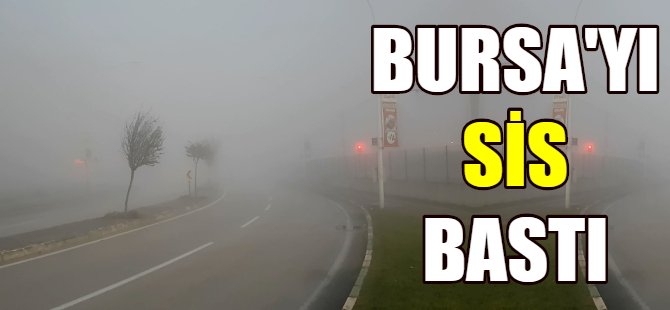 Bursa'yı sis bastı!
