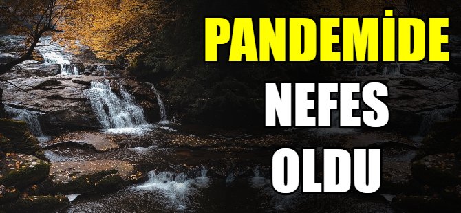 Pandemide nefes oldu