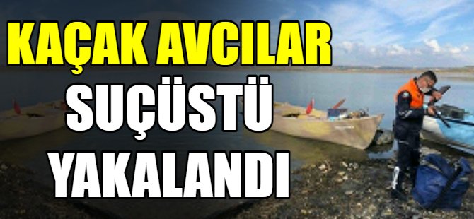 Kaçak avcılara suçüstü!
