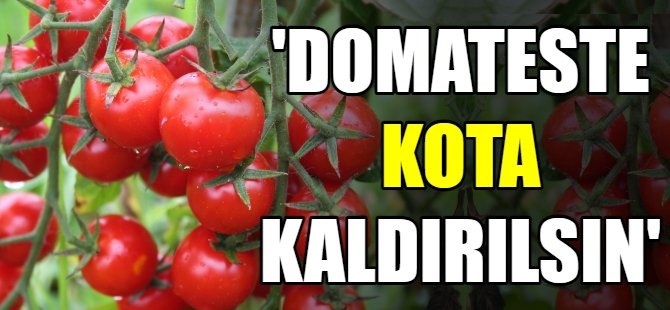 Domates üreticilerinden kota çıkışı