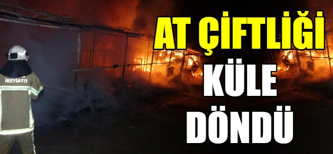 At çiftliği küle döndü