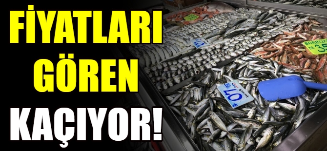 Balık fiyatları cep yakıyor