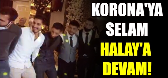 Korona'ya selam, Halay'a devam!