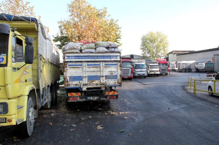 Bursa'da 70 kamyon elma çöpe gidecek