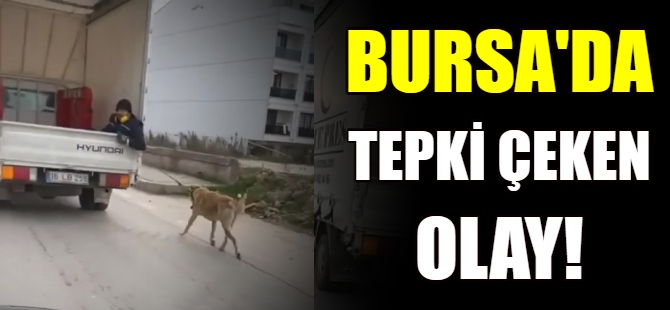 Bursa'da tepki çeken olay