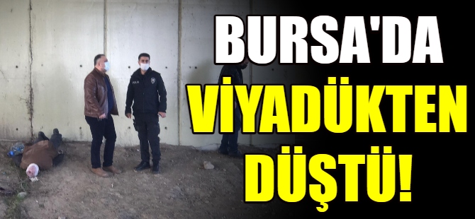 Viyadükten düştü!