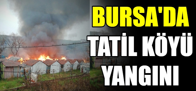 Bursa'da tatil köyünde yangın