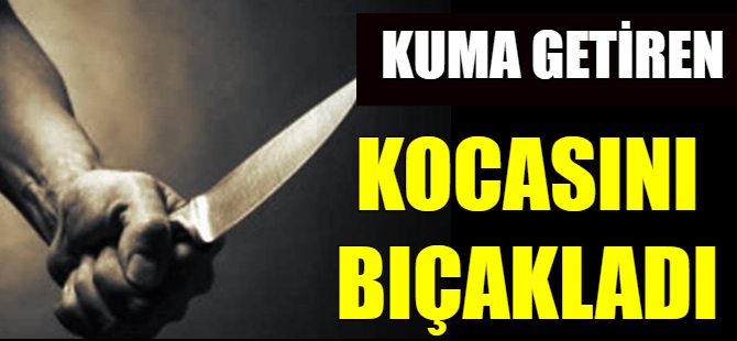 Kuma getiren kocasını bıçakladı