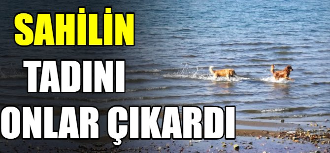 Sahilin tadını onlar çıkardı