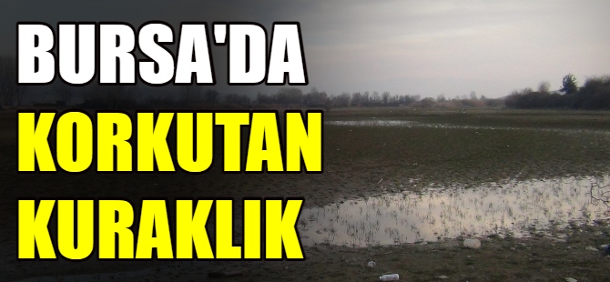 Bursa'da korkutan kuraklık