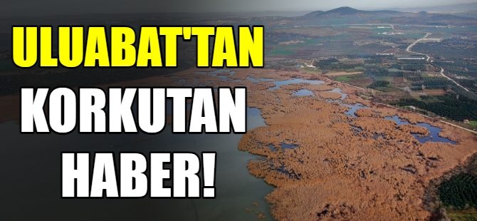Uluabat'tan korkutan haber!