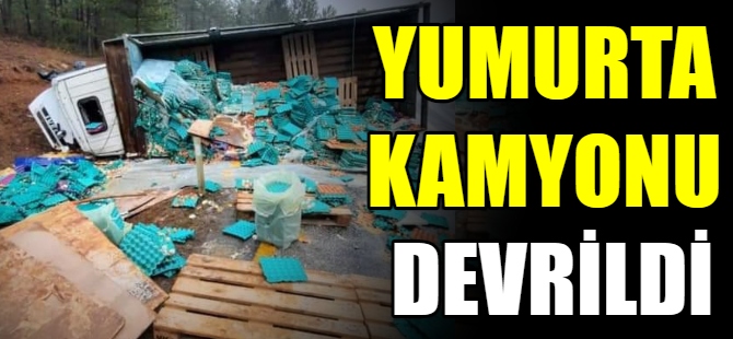Yumurta kamyonu devrildi