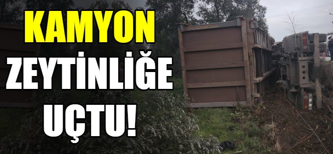 Kamyon zeytinliğe uçtu!
