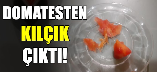 Domatesten kılçık çıktı