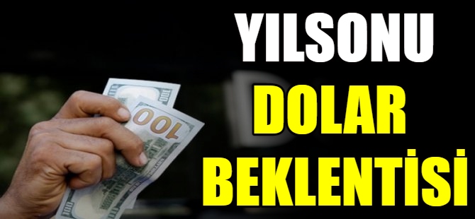 Yıl sonunda dolar ne kadar olur?