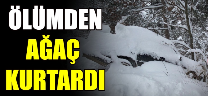 Ağaç sayesinde ölümden döndü!