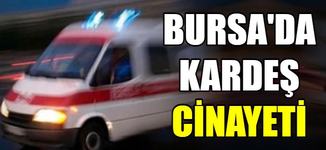 Bursa'da kardeş cinayeti