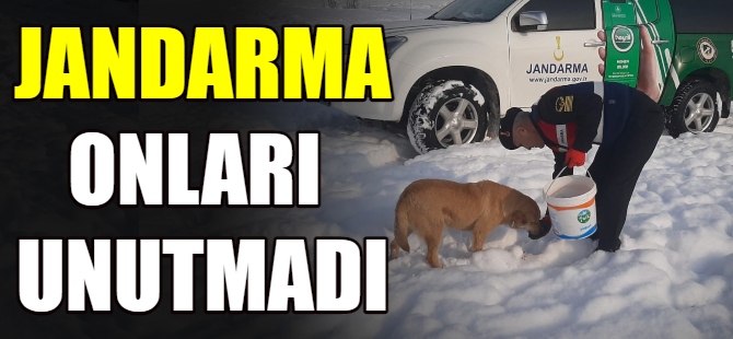 Jandarma hayvanları unutmadı