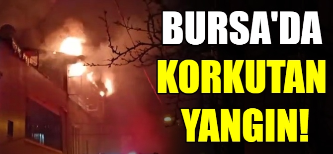 Bursa'da korkutan yangın