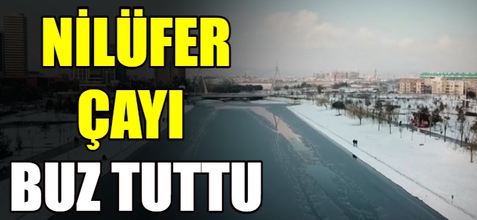 Nilüfer Çayı buz tuttu