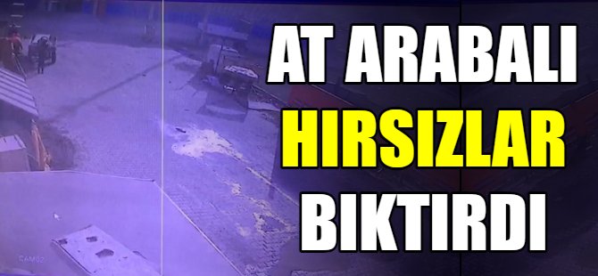 O hırsızlar bıktırdı!