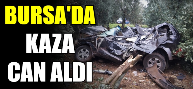 Bursa'da kaza can aldı