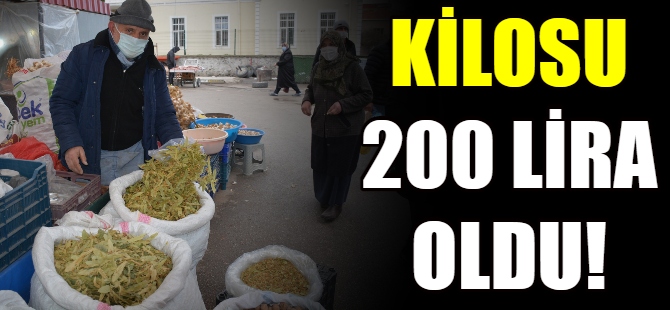 Ihlamurun kilosu 200 lira
