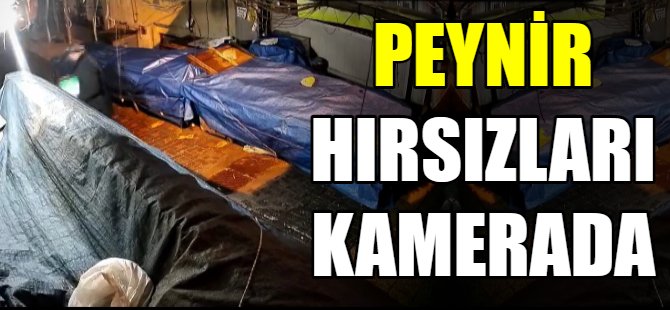 Peynir hırsızları kamerada