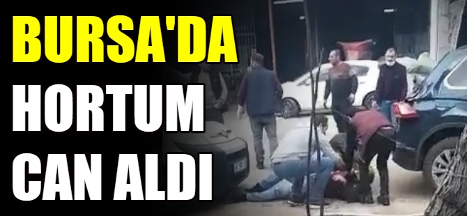 Bursa'da hortum can aldı