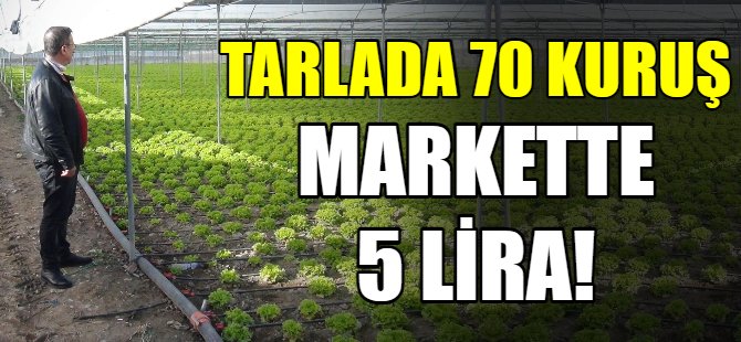 Tarlada 70 kuruş markette 5 lira!