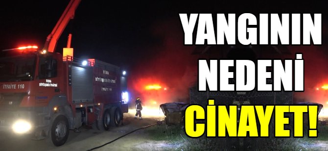 Yangının nedeni cinayet çıktı!
