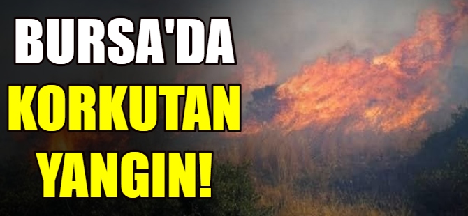 Bursa'da korkutan yangın!