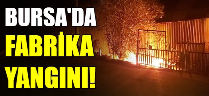 Fabrikada yangın!