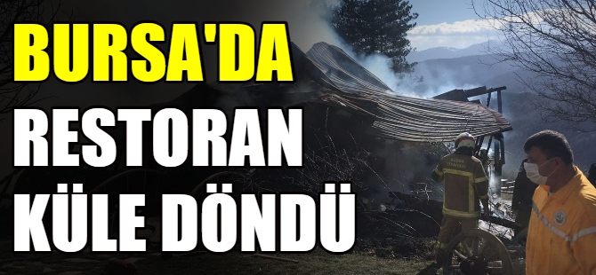 Bursa'da restoran küle döndü
