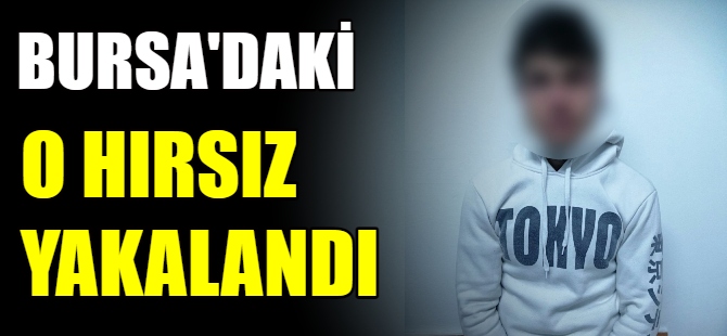 Hırsızlık zanlısı yakalandı