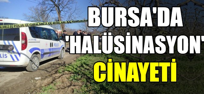 Halüsinasyon cinayeti!