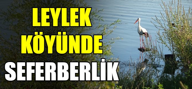Leylek köyünde seferberlik