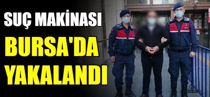 Suç makinası yakalandı