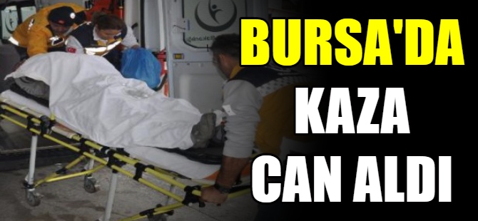 Bursa'da kaza can aldı