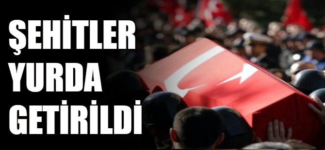 Şehit cenazeleri yurda getirildi