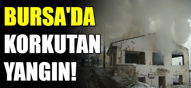 Bursa'da yangın!