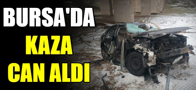 Bursa'da kaza can aldı
