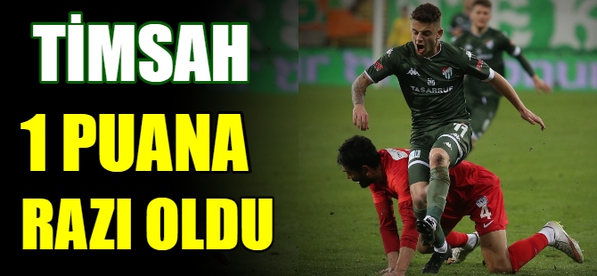 Bursaspor: 0 - Tuzlaspor: 0