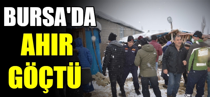 Bursa’da ahır göçtü