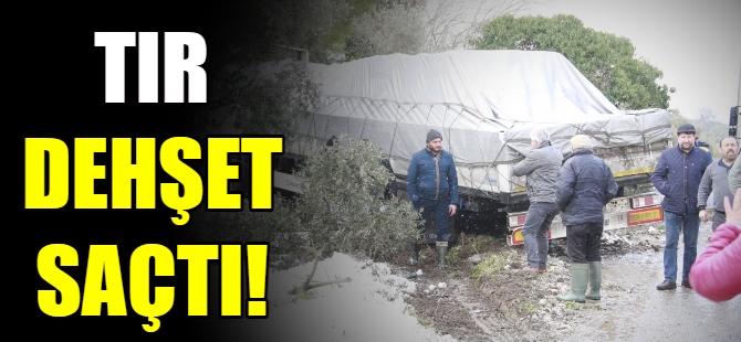 Bursa'da TIR dehşet saçtı!