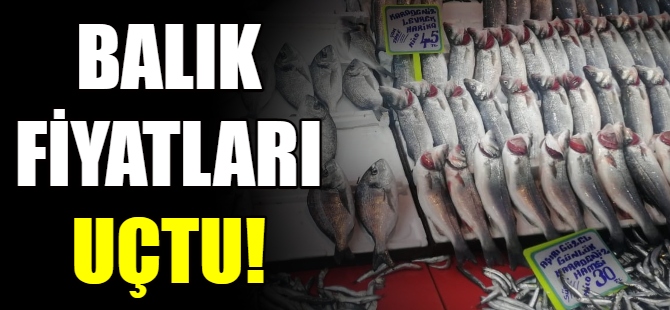 Balık fiyatları uçtu!