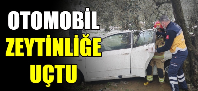 Otomobil zeytinliğe uçtu!