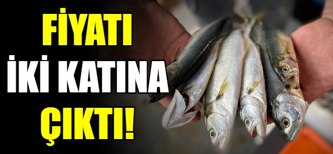 Çinekop'un fiyatı iki katına çıktı