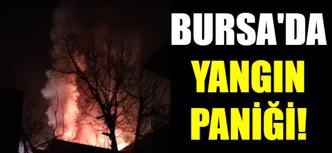 Bursa'da yangın paniği